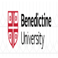 Dr. Max Ghaffari, Benedictine University, USA